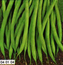 FAGIOLO NANO SLENDERETTE GR.200